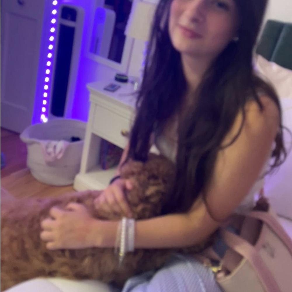 Meet your Posher, Evie